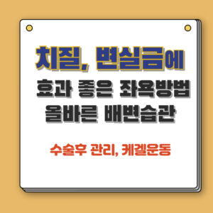 치질원인-효과좋은-좌욕방법-올바른-배변습관